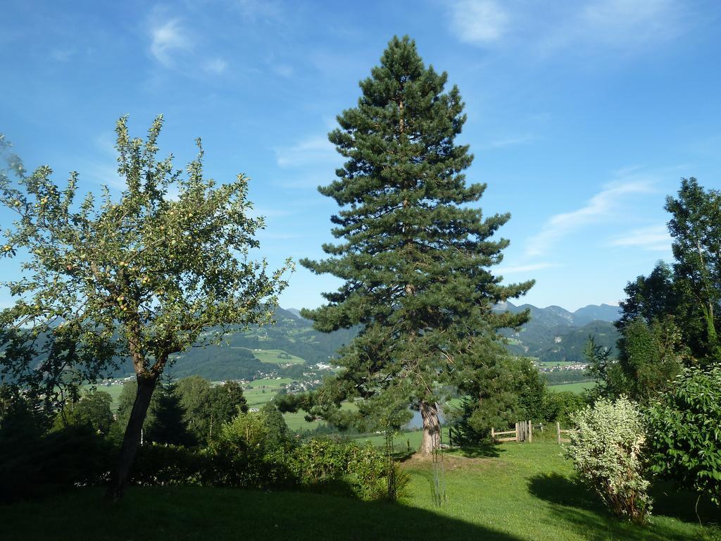 Pension Schoene Aussicht Кухль Экстерьер фото